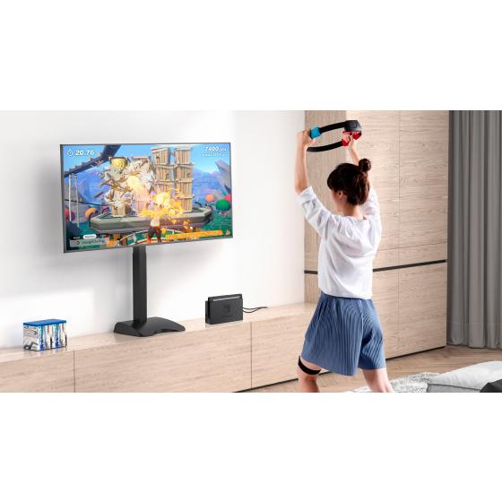 Fernsehen - Monitor & TV-Halterungen - Equip - Equip